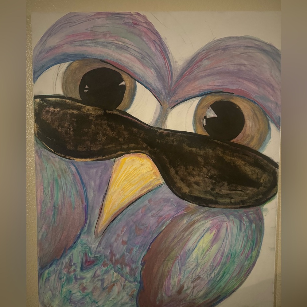 The Cool Owl
